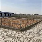 مربط لايواء الخيل في المزاحمية