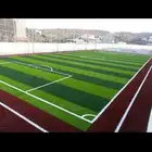 ملاعب عشب