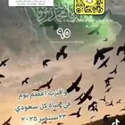 عرض اليوم الوطني 95 للتدريب ركوب الخيل بخميس مشيط