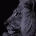ونيت توصيل مكه