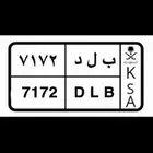 لوحة للبيع ترمز لليوم الوطني وحب الوطن