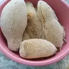 عسل حر جبلي سدر