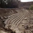 توريد نخيل وتركيب الشبوك سياج