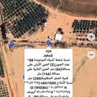 كشف مياه آبار ارتوازية عبر قمر الصطناعي