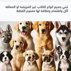 تبني الكلاب