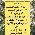 لمن يرغب بالنقل مدارس ابتداي ال مجمل