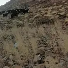معزا عوارض مقنو مراح واحد العدد 20