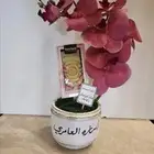 هديا يوم المدير العالمي 16كتوبر