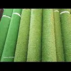 Carpets