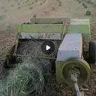 لبانه قلاص 55 على شرط للبيع
