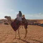 آجار جمال وا خيول وا دبابات بي اليوم وا الاسبوع وا الشهر