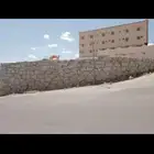 متواجدين في عسير