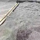 بطحه اسفر ابيض الرياض وادي الدواسر بيشه خرسان