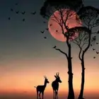 مساج سويدي استرخائي ريح جسمك من الضغوطات زيارة منزلية
