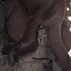 جمل رباع للبيع