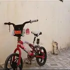 سيكل كوبرا 16