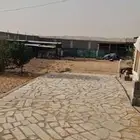 استراحة للايجار السنوي 1000 م