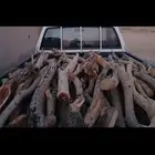 سمر مسحه صندوق غماره 1100