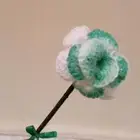 ورود اليوم الوطني