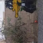 رسم فنان