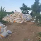 سماد
