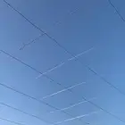 أسلاك للمحميات وعرايش العنب