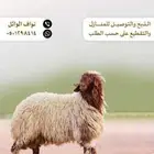ذبيحتك لباب بيتك