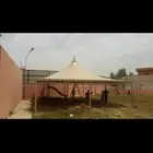 مضلات شقراء