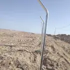 نخل وشبوك مقاول توريد وتركيب