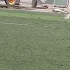 انجيلة مستخدمه