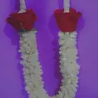 فل ورد الرياض