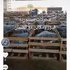 بيع جميع الجيرات والمكاين المستورده مع الضمان ويوجد توضيب