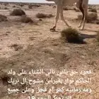 قعودين وبكره كفوو تنصفط