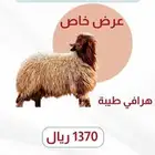 ذبائح ابوخالد