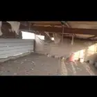 شبوك وكمرات وهناقر نضيفه وتيوبات
