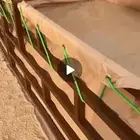برك ماء
