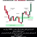 استثمار عملات رقميه اسبوع فقط