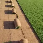 ثيل طبيعي درجه اولى من المزرعه نشحن موقعنا الخرج