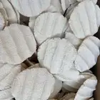بقل ضأن وماعز