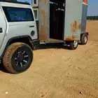عربة خيل