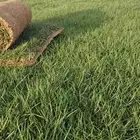 ثيل عشب طبيعي C2000 والانتورو قليل الحصد والياباني مزارع الخ