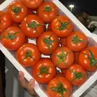 من لديه محل خضار للبيع او للاجار يتواصل معي خاص