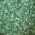 مورنقا ينبع النخل مطحونه جديد الوزن 70 كيلو