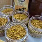 حبوب لقاح النحل