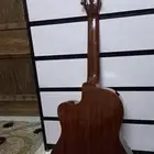 كيتار اسباني رودريغز أرماندو أوتار أمريكية
