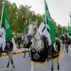 تأجير خيول اليوم الوطني