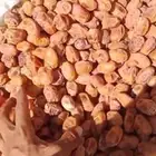 اخلاص القصيم كميه