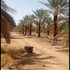 سلام عليكم ورحمه الله وبركاته وبعد نحن مؤسسه مقاولات عامه نق