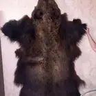فراء دببه روسية متنوعه