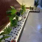 تنسيق حدائق